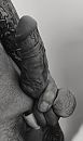 Staande ovatie, foto 2146x3601, 12 reacties, 27 stemmen