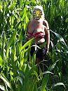 Steun aan de boeren, foto 3004x4000, 8 reacties, 45 stemmen