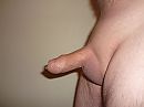 Stijfjes, foto 2560x1920, 14 reacties, 29 stemmen