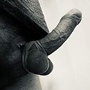 Strak in het pak, foto 2233x2219, 9 reacties, 21 stemmen