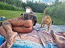 Strandkat Thomas, foto 4000x3000, 17 reacties, 90 stemmen