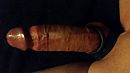Strap on, foto 4000x2250, 23 reacties, 76 stemmen