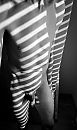 Striped not stripped, foto 2381x4000, 1 reacties, 5 stemmen