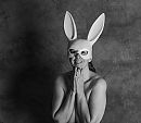 Studio bunny 1, foto 3711x3251, 6 reacties, 67 stemmen