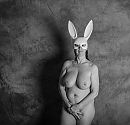 Studio bunny 2, foto 3840x3712, 19 reacties, 140 stemmen