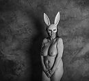 Studio bunny 3, foto 4000x3640, 17 reacties, 96 stemmen