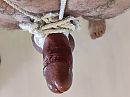 T10, foto 4000x3000, 1 reacties, 6 stemmen