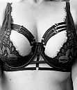 TGIF, foto 2234x2609, 34 reacties, 105 stemmen