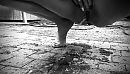 Tadaaah moest even…., foto 1723x993, 33 reacties, 86 stemmen