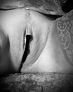 Tadaaah zegt nu echt………………………., foto 1512x1874, 26 reacties, 104 stemmen