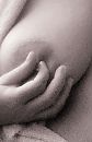 Teasing, foto 2088x3217, 5 reacties, 41 stemmen