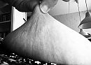 Tepeltrekken, foto 1113x813, 7 reacties, 30 stemmen