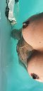Tits, foto 1892x4000, 10 reacties, 48 stemmen