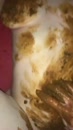 Vanmorgen al heerlijk smerig, film 00:00:00, 13 reacties, 64 stemmen