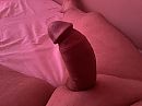 Veel zin, foto 3264x2448, 3 reacties, 7 stemmen