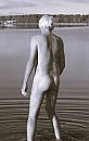 Veerse meer ., foto 727x1143, 0 reacties, 5 stemmen