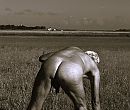 Veerse meer, foto 1711x1452, 3 reacties, 6 stemmen