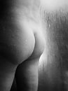 Vol en stevig..., foto 540x720, 1 reacties, 12 stemmen