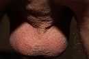 Volle ballen, foto 4000x2666, 1 reacties, 7 stemmen