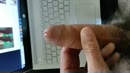 Voor de lekkere bunnies, film 00:00:14, 3 reacties, 19 stemmen
