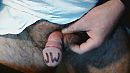 Voor ...., foto 640x360, 0 reacties, 1 stemmen