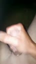 Vorig jaar, film 00:00:29, 16 reacties, 35 stemmen
