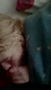 Vriendschappelijke BlowJob, film 00:00:00, 6 reacties, 70 stemmen