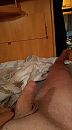 Wakker worden...., foto 1080x1944, 3 reacties, 9 stemmen