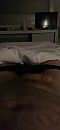 Wakker, foto 888x1920, 2 reacties, 6 stemmen