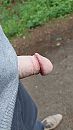 Wandeling, foto 2160x3840, 7 reacties, 9 stemmen