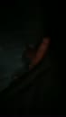 Wandelingetje, film 00:00:02, 0 reacties, 6 stemmen