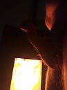 Warm, foto 3000x4000, 0 reacties, 0 stemmen
