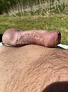 Wat is dit toch heerlijk, foto 3000x4000, 5 reacties, 23 stemmen
