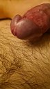 Wat moet ik zeggen?, foto 2250x4000, 7 reacties, 18 stemmen