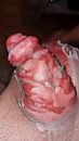 Wax, foto 2250x4000, 7 reacties, 17 stemmen