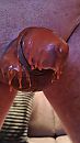 Wax, foto 2250x4000, 3 reacties, 11 stemmen