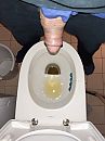 Wc, foto 3000x4000, 4 reacties, 7 stemmen