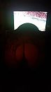 We hebben verloren, foto 2250x4000, 5 reacties, 25 stemmen