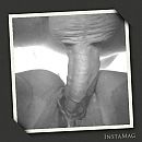 We love it..., foto 1125x1125, 8 reacties, 34 stemmen
