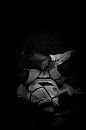 We, foto 2666x4000, 3 reacties, 7 stemmen