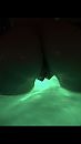 Weekend bubbels, foto 750x1334, 4 reacties, 46 stemmen