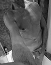 Weet jij........, foto 3169x4000, 4 reacties, 7 stemmen