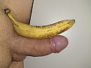 Welke?, foto 4000x3000, 2 reacties, 7 stemmen
