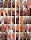 Welke?, foto 495x619, 11 reacties, 9 stemmen