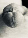 Werd weer lekker nat., foto 3000x4000, 0 reacties, 3 stemmen