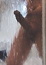 When it’s hot.., foto 2854x3971, 22 reacties, 27 stemmen