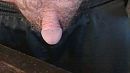 Wie ..., foto 640x360, 1 reacties, 0 stemmen