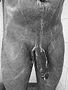 Wie komt er mee douchen? ;-), foto 1125x1472, 1 reacties, 15 stemmen