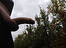 Wie wil, foto 4000x2965, 1 reacties, 3 stemmen