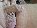 Wie wilt me aftrekken, foto 2944x2208, 0 reacties, 1 stemmen